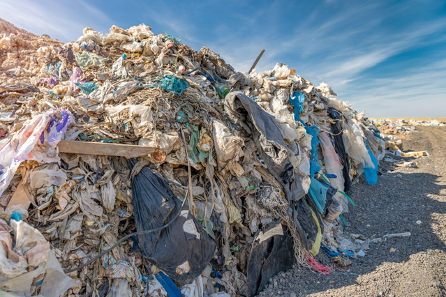 The Negative Effects of Landfills - Cover Image